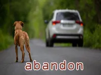 Definition & pronunciation of abandon
