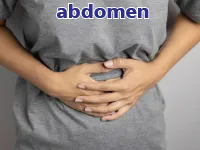 Definition & pronunciation of abdomen