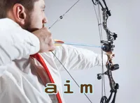 Definition & pronunciation of aim