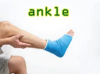 Definition & pronunciation of ankle