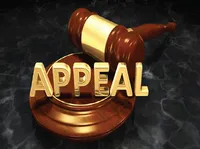 Definition & pronunciation of appeal