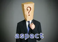 Definition & pronunciation of aspect