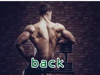 Definition & pronunciation of back