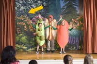 Definition & pronunciation of backdrop