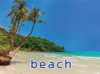 Definition & pronunciation of beach