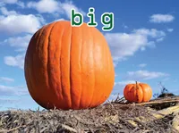 Definition & pronunciation of big