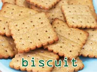 Definition & pronunciation of biscuit