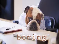 Definition & pronunciation of boring