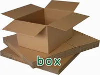 Definition & pronunciation of box