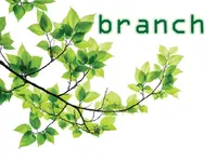 Definition & pronunciation of branch