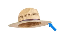 Definition & pronunciation of brim