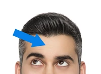 Definition & pronunciation of brow