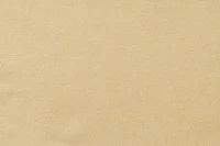 Definition & pronunciation of buff