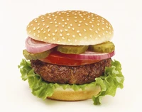 Definition & pronunciation of burger