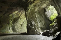 Definition & pronunciation of cave