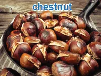 Definition & pronunciation of chestnut