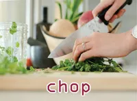 Definition & pronunciation of chop
