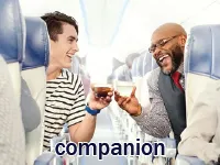 Definition & pronunciation of companion