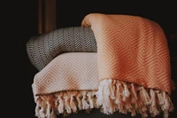 Definition & pronunciation of coverlet