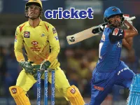 Definition & pronunciation of cricket