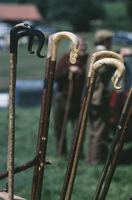 Definition & pronunciation of crook