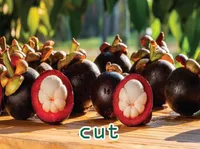 Definition & pronunciation of cut