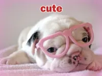 Definition & pronunciation of cute