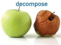 Definition & pronunciation of decompose