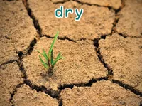 Definition & pronunciation of dry