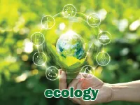 Definition & pronunciation of ecology
