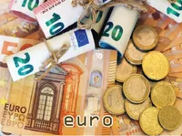 Definition & pronunciation of euro