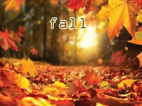 Definition & pronunciation of fall