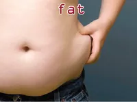Definition & pronunciation of fat