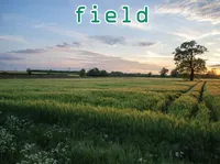 Definition & pronunciation of field