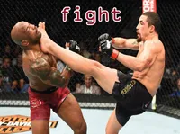 Definition & pronunciation of fight