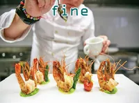 Definition & pronunciation of fine