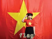 Definition & pronunciation of flag