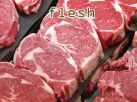 Definition & pronunciation of flesh