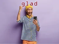 Definition & pronunciation of glad