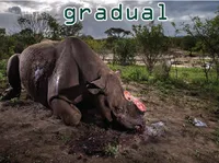 Definition & pronunciation of gradual