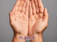 Definition & pronunciation of hand