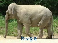 Definition & pronunciation of huge