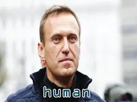 Definition & pronunciation of human
