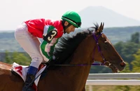 Definition & pronunciation of jockey