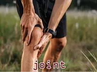 Definition & pronunciation of joint