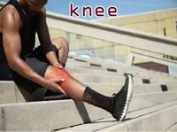 Definition & pronunciation of knee