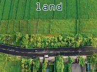 Definition & pronunciation of land