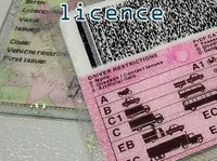Definition & pronunciation of licence