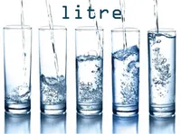 Definition & pronunciation of litre