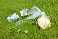 Definition & pronunciation of litter